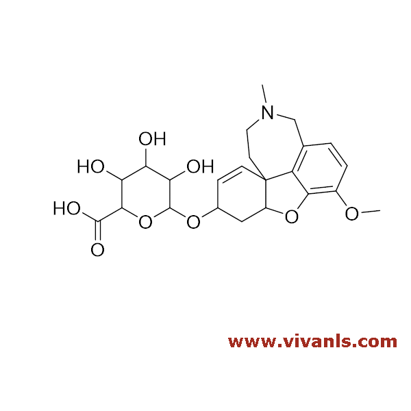 Glucuronides-Galanthamine β-D-Glucuronide-1654768328.png
